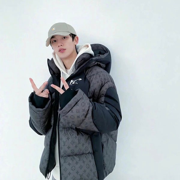 Louis Vuitton 2054 Heat Reactive Down Jacket Replica 1A9GTT