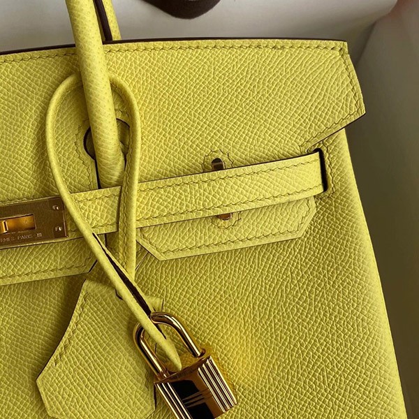 Immediate delivery Hermes Birkin 25 replica Jaunes Naples Togo handbag with gold hardware ere66895