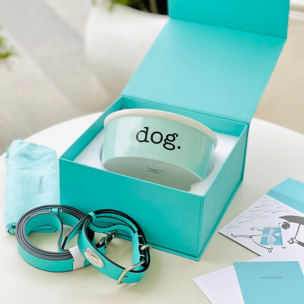 Tiffany Dog and Cat Collar Fake Pet Collar & Leash & Bowl Set 3 Piece Set