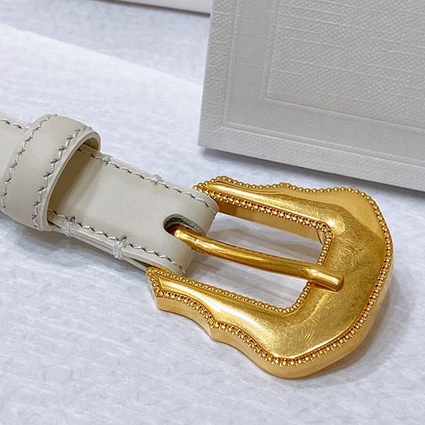 Easy to use Celine HOMME BC-04 Gold Metal Buckle Belt Replica Cek79716
