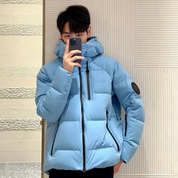 Immediate delivery Dior Descente & Peter Doig puffer jacket replica deu86465