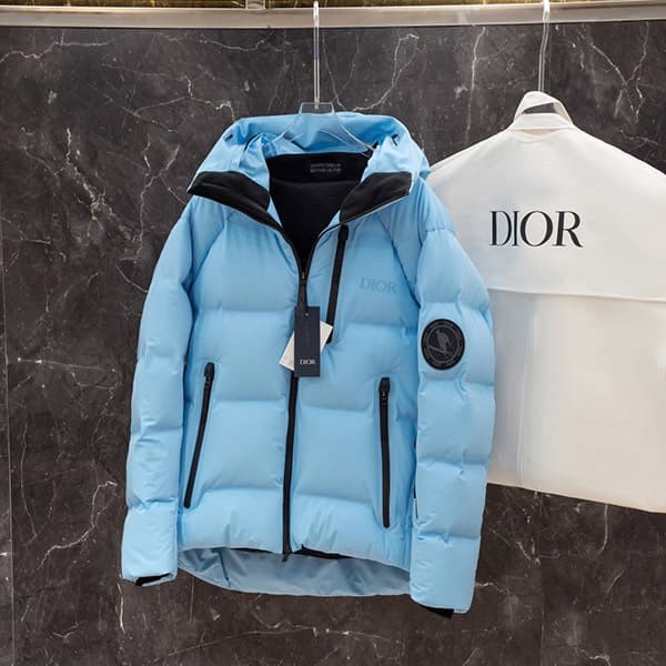 Immediate delivery Dior Descente & Peter Doig puffer jacket replica deu86465