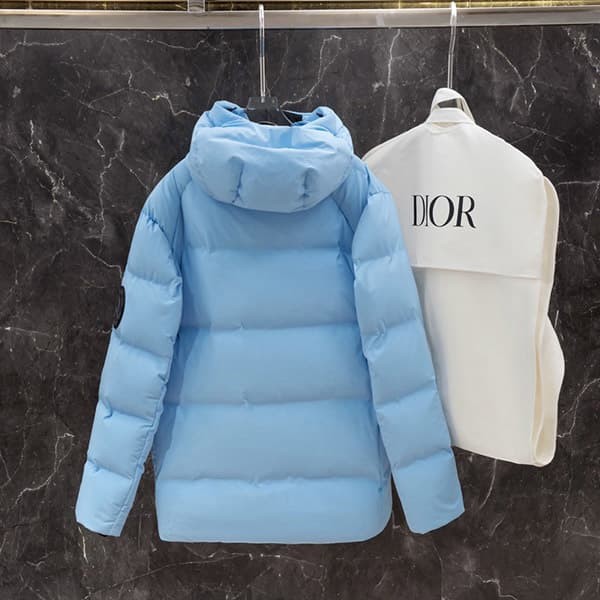 Immediate delivery Dior Descente & Peter Doig puffer jacket replica deu86465