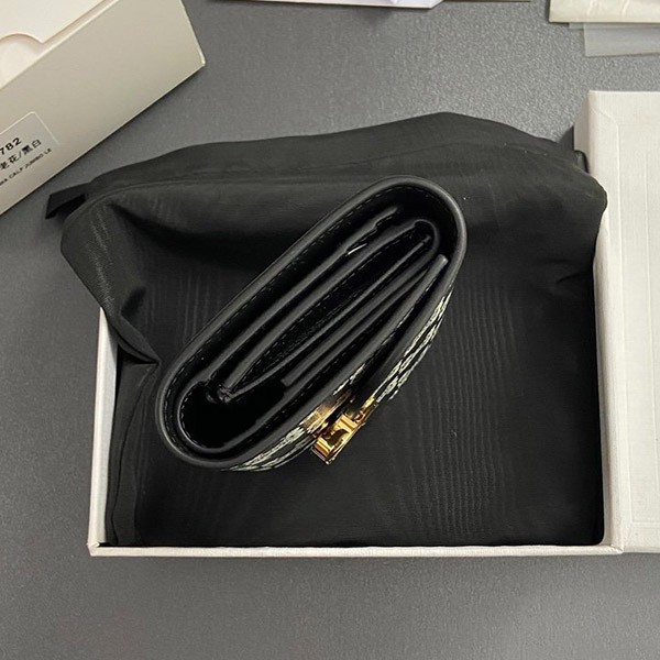 Celine Replica Small Wallet Triomphe / Triomphe Canvas 10D782FR938NO