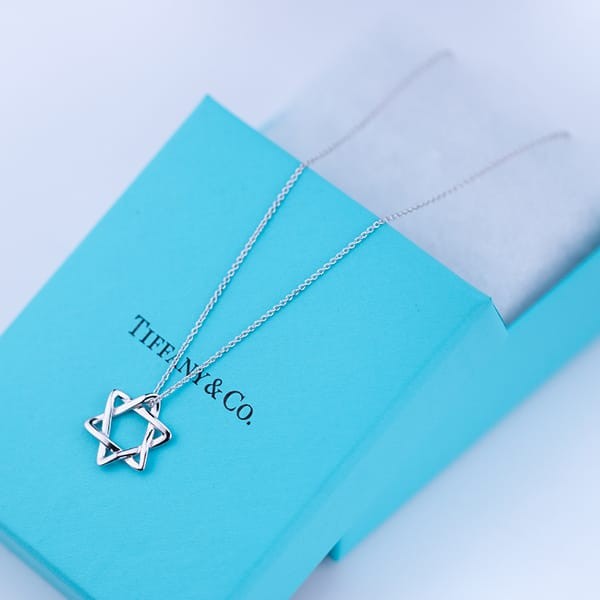 Recommended Tiffany Snowflake Necklace Replica AG925 Tir18503 Recommended Tiffany Snowflake Necklace Replica AG925 Tir18503