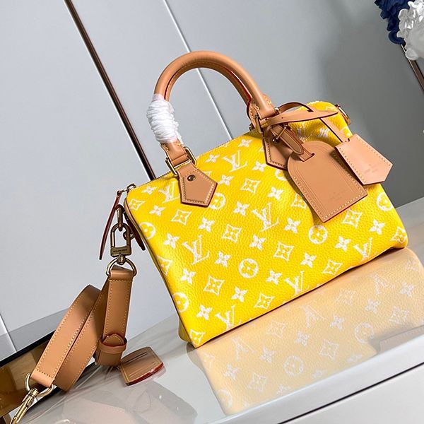 [Used by Sho Hirano?]Louis Vuitton Speedy 25 Replica M24426