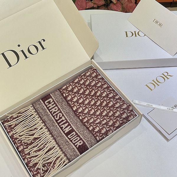 Warm? [Dior] Oblique reversible scarf replica def44401