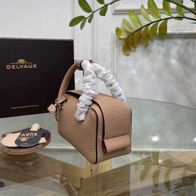 Sold out Delvaux replica Cool Box Mini bag in 2 colors Del63912