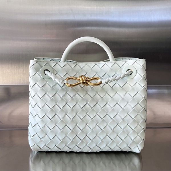 Extremely rare! Bottega Veneta Small Andiamo Bag Replica bou71843