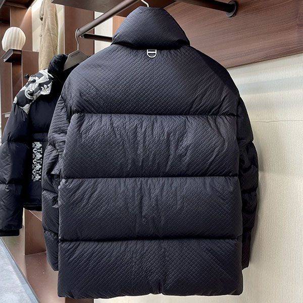 Immediate shipping Louis Vuitton down jacket replica popular vuk91616