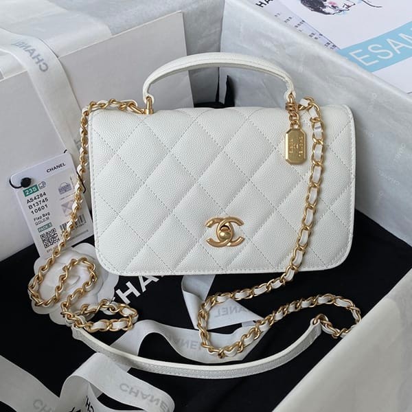 Fake Chanel Top Handle Mini Flap Bag shs59485, loved by many celebrities