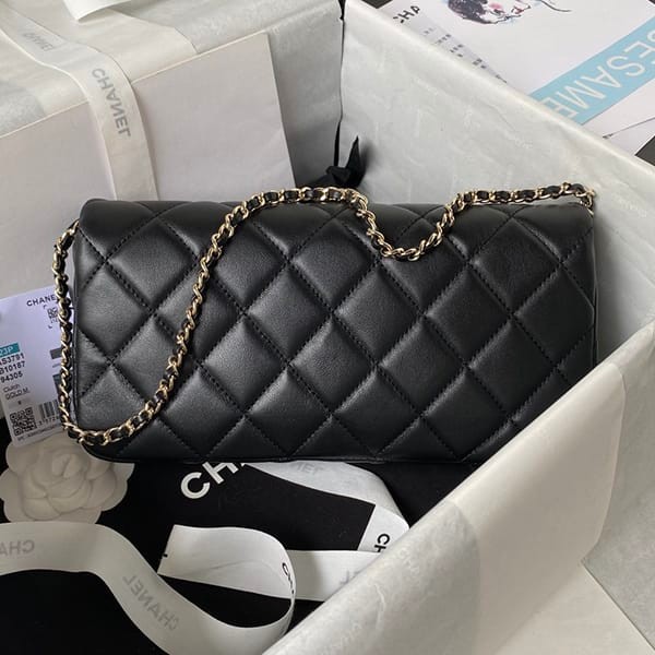 Secured Chanel Elegant Clutch Shoulder Bag Replica AS3791B10 18794305