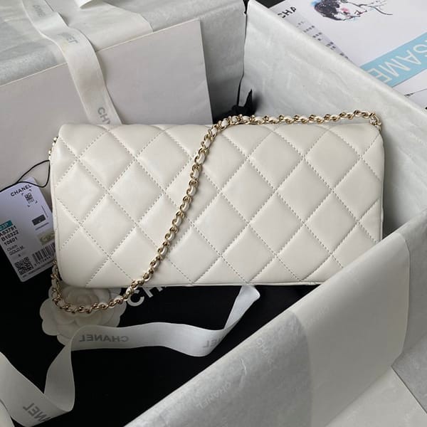 Very popular all over the world? Chanel replica elegant clutch shoulder bag shu76782