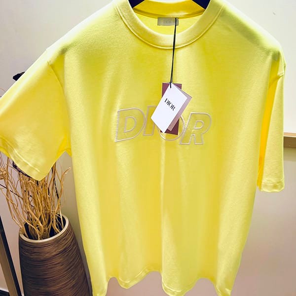 Immediate shipping Dior cotton T-shirt copy 393J696E0847