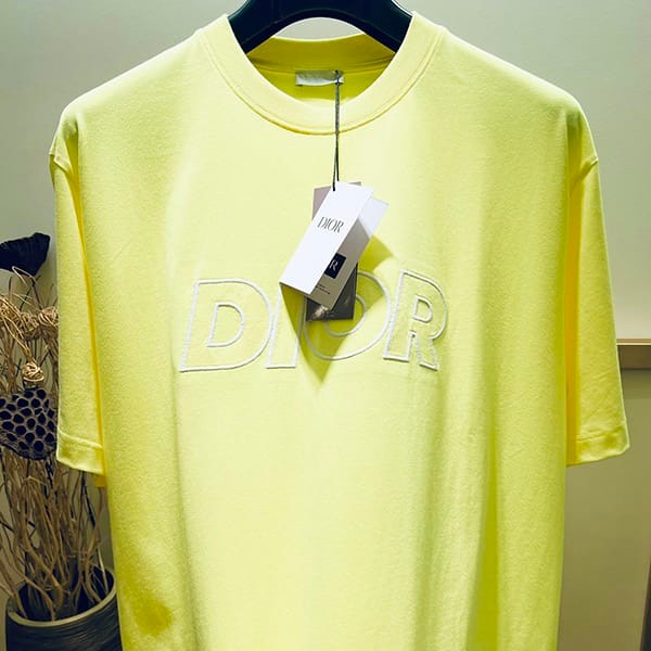 Immediate shipping Dior cotton T-shirt copy 393J696E0847