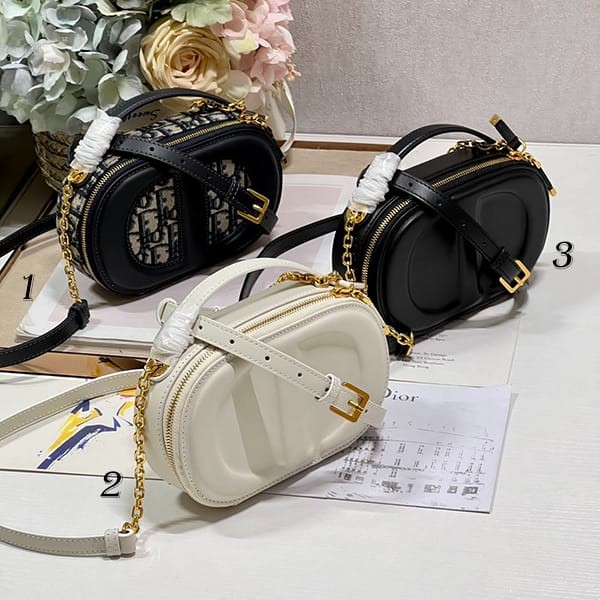 Classic Dior CD SIGNATURE Oval Camera Bag Replica 3 Colors S2201UTZQM928