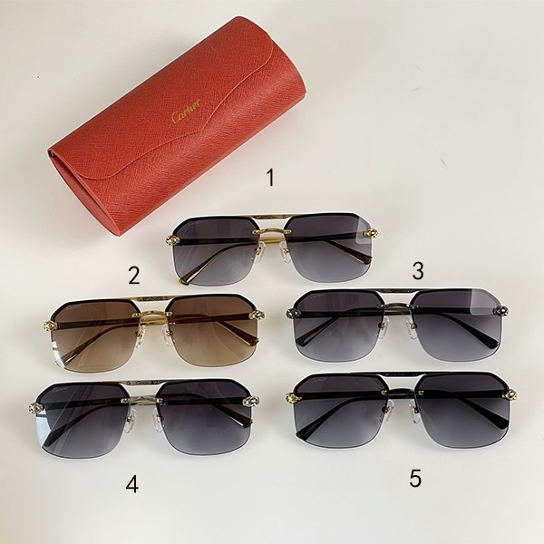 No. 1 in total sales! Cartier replica Premiere de sunglasses in 5 colors kai76993