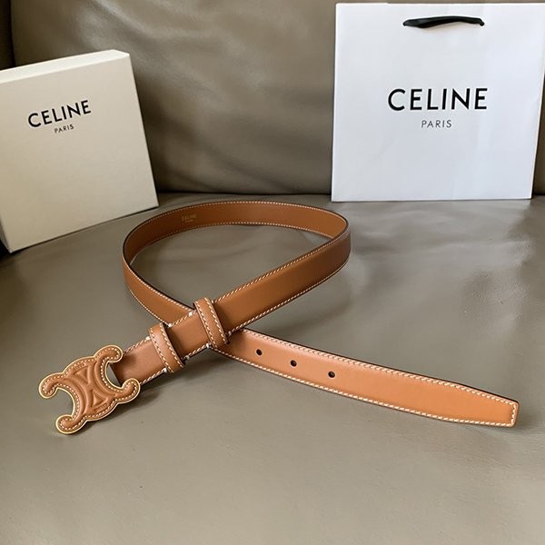 A battle for it? Celine Medium Triomphe Belt Replica 45BAA3A78