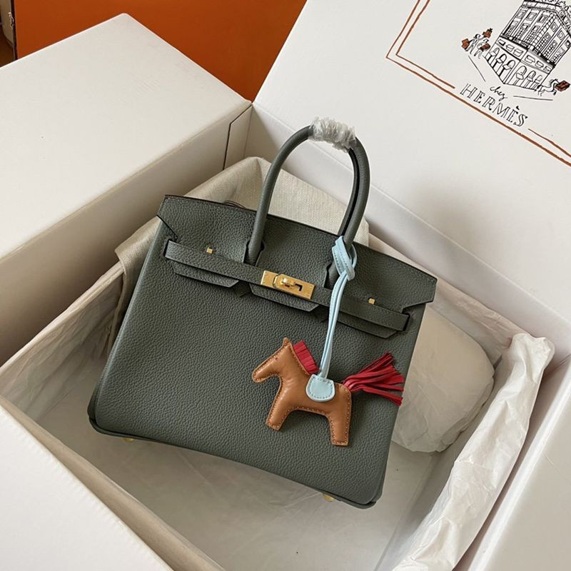 [Limited Edition] Hermes Birkin 25 Replica Togo Gold Hardware erq19287