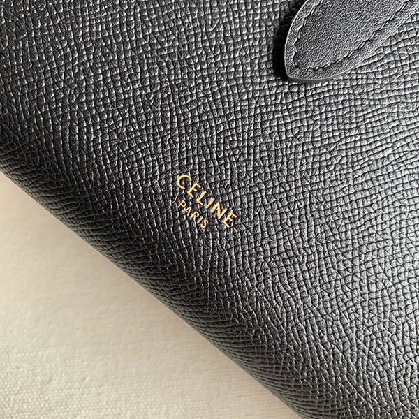 Celine Large Strap Wallet Replica Ced77666