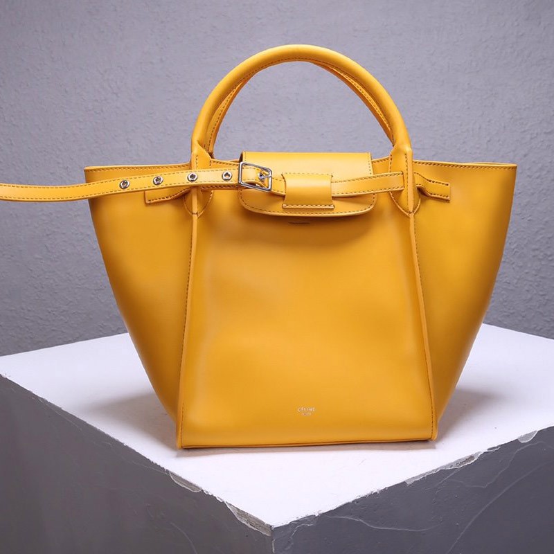 New for Spring☆Celine Bag Black Fake Small Big Cep41799