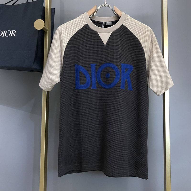 The hot topic! Dior logo T-shirt replica color blocking den15276