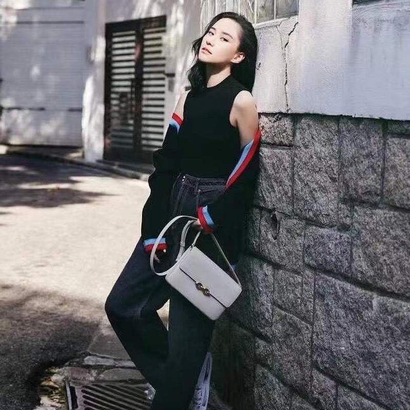 Rare color Saint Laurent shoulder bag replica Mayon satchel bag smooth leather Sao60545