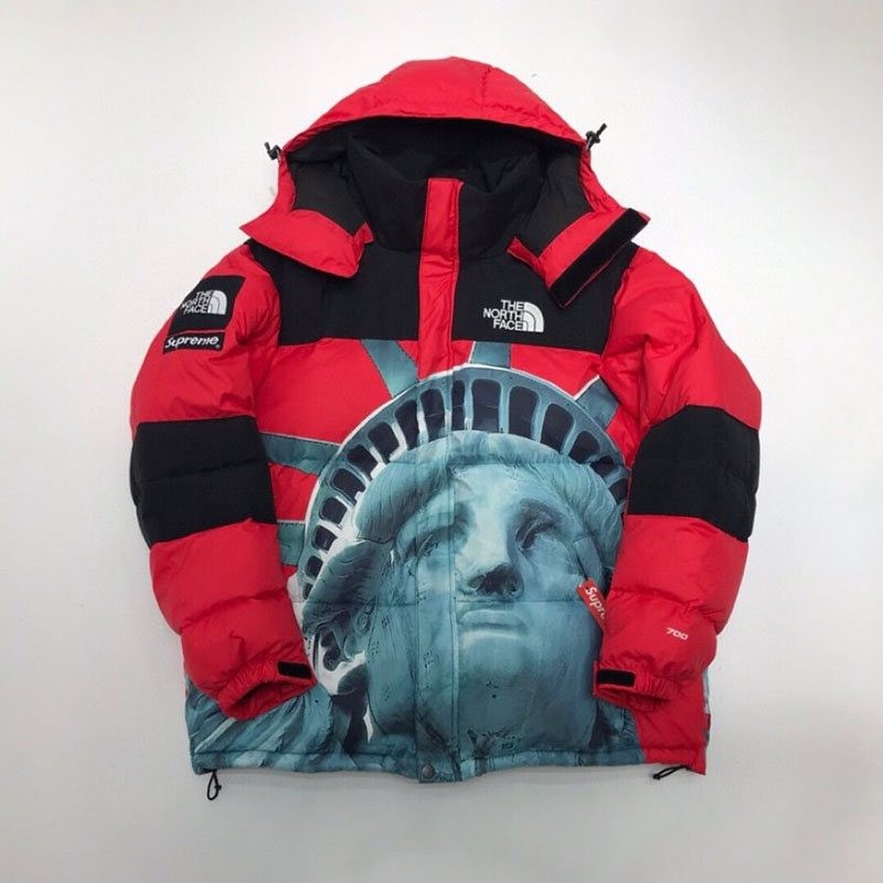 Warm clothing Supreme x The North Face Statue of Liberty Mountain Jacket Replica Noi67448